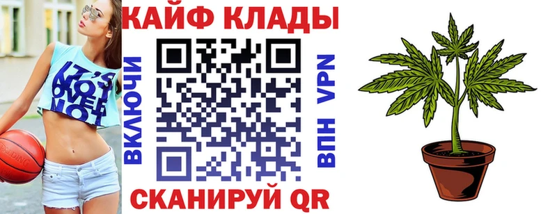 МЕФ Гдов