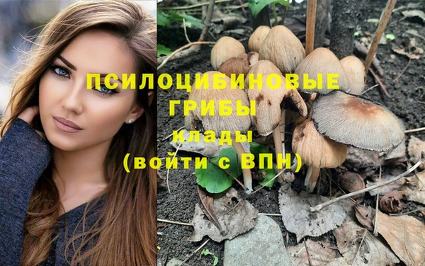 прущая мука Горнозаводск